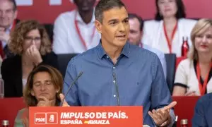 El secretario general socialista socialista y presidente del Gobierno, Pedro Sánchez, durante el Comité Federal del PSOE en Madrid. EFE/ Eva Ercolanese/PSOE