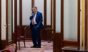 Aitor Esteban, portavoz del PNV en el Congreso, hablando por teléfono en los pasillos de la Cámara Baja.