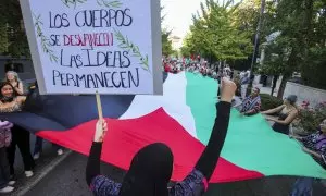 Manifestantes España por Palestina