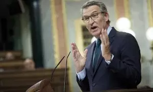 El presidente del PP, Alberto Núñez Feijóo, interviene durante una sesión plenaria, en el Congreso de los Diputados, a 9 de octubre de 2024, en Madrid (España).