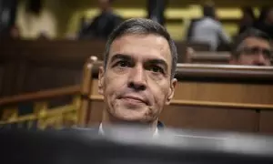 El presidente del Gobierno, Pedro Sánchez, durante una sesión de control al Gobierno, en el Congreso de los Diputados.