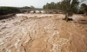 30/10/2024 - El riu Magre al seu pas per l'Alcúdia aquest dijous, després de la DANA al País Valencià.