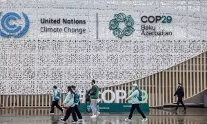 COP29