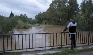 Un hombre observa el rio Guadiaro este jueves, por Jimena de la Frontera (Cádiz).