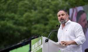 Abascal campaña Europeas