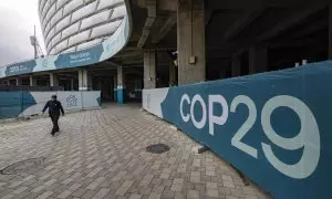 COP 29