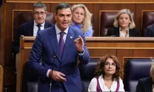 El presidente del Gobierno, Pedro Sánchez, durante una de sus intervenciones este miércoles en el Congreso.