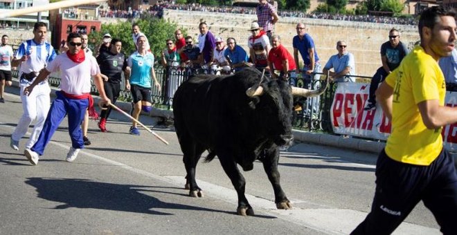 ¿Qué pasó este año en Tordesillas? No hubo lanzas pero sí sufrimiento animal