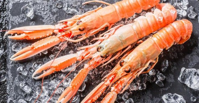 Cangrejos y gambas, una solución para la crisis de los plásticos