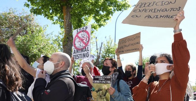 Belarra pide a Ayuso que pase de las declaraciones a los hechos y libere a los animales de Vivotecnia