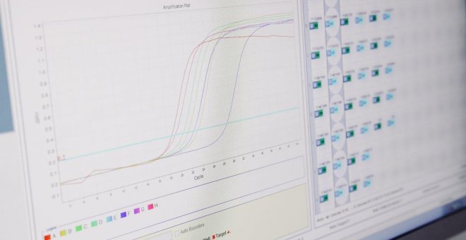 La EMA asegura que la viruela del mono no es "una emergencia de salud pública"