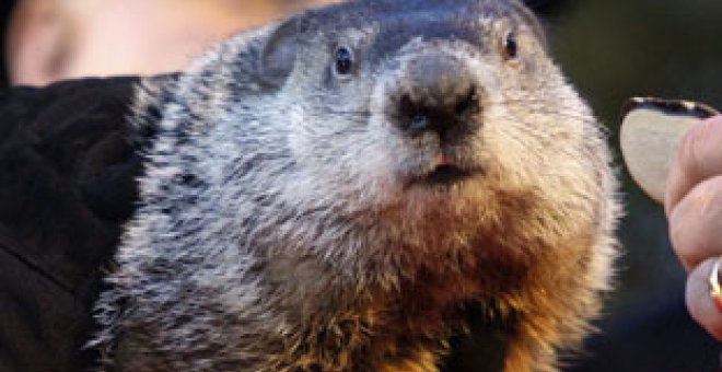 La marmota Phil predice seis semanas más de invierno