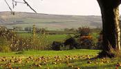 Blancos acantilados en South Downs