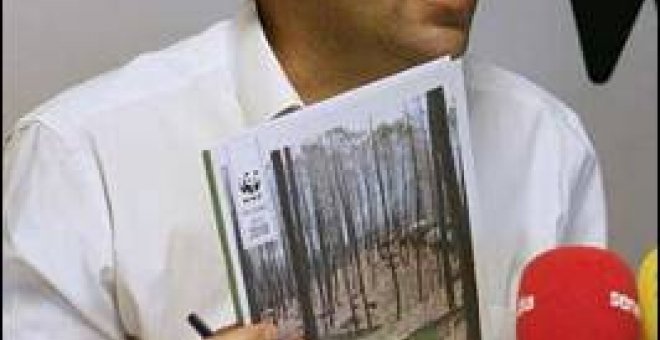 España falla en política forestal