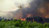 Libre el brigadista detenido por su presunta implicación en los incendios de Ontinyent