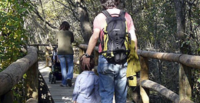 Una caminata al tibio sol de otoño