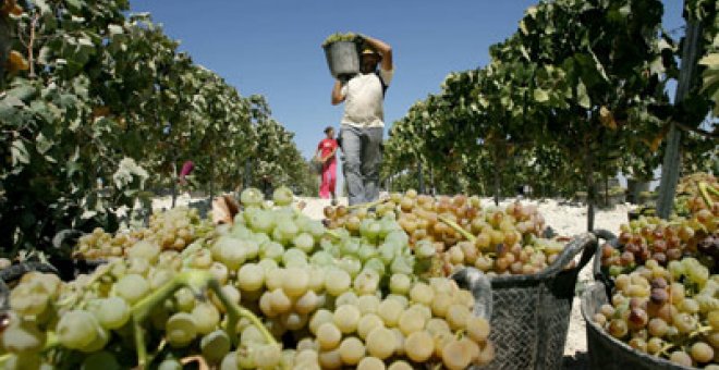 Los trabajadores del campo equiparan sus derechos laborales