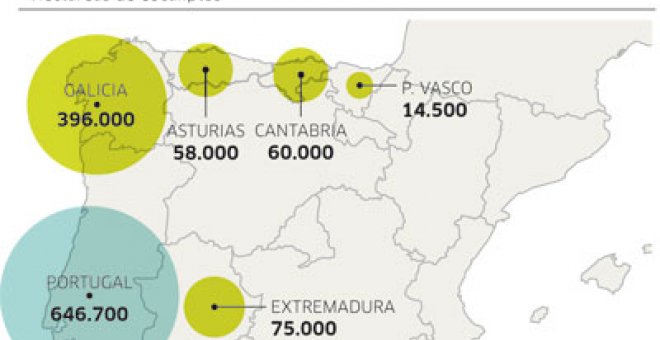 Los ecologistas reclaman que se acote la plantación de eucaliptos