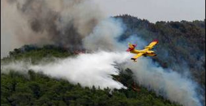 Prisión sin fianza para el apicultor que incendió Eivissa