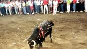 Coria dice que castigará a quien lance dardos al toro