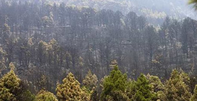 Controlado el incendio de La Palma