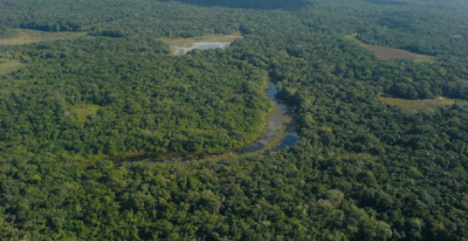 La naturaleza trabaja gratis