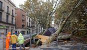 Las inundaciones y desprendimientos del temporal, en imágenes