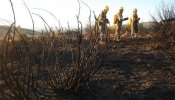 Los incendios arrasan 82.000 has. en 2007, la menor superficie de la última década