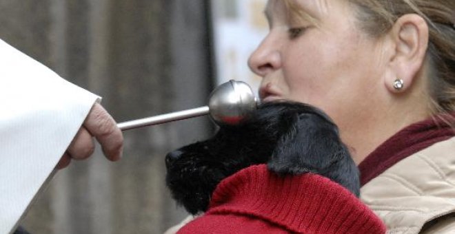 El agua de San Antón bendijo a los animales fieles, con o sin alma