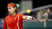 David Ferrer cayó ante el alemán Mischa Zverev