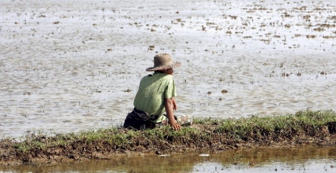 Huérfanos por el ciclón sufrirán severos traumas por la magnitud del desastre