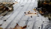 El otoño que viene será más cálido y lluvioso de lo normal