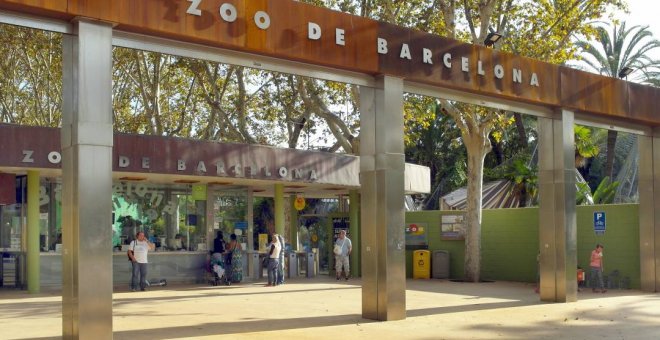 La plataforma ZooXXI denuncia que el Zoo incompleix l'ordenança i l'acusa d'ocultar informació de la mort d'animals