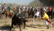 La estocada final al Toro de la Vega: el Supremo tumba el recurso de Tordesillas