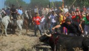 Ya es ley no matar al Toro de la Vega