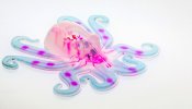 Científicos de Harvard crean el 'Octobot', un robot blando que se mueve sin baterías ni cables