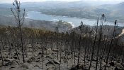 Libertad vigilada para el presunto autor de 15 incendios en Ourense