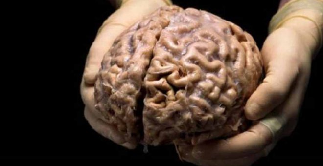 Somos algo más que nuestro cerebro