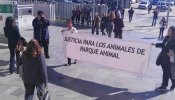 La presidenta del Parque Animal de Málaga es condenada por el sacrificio "masivo" de perros y gatos