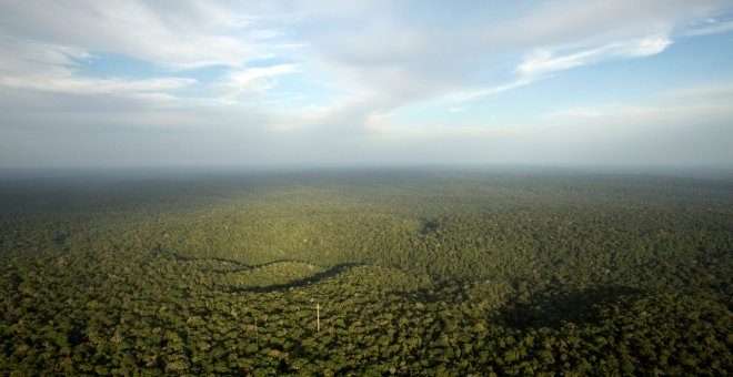 El cambio climático podría acabar en 2080 con la mitad de las especies de las zonas con más fauna del planeta