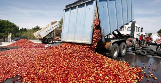 El despilfarro de alimentos, una realidad permitida por el Parlamento Europeo