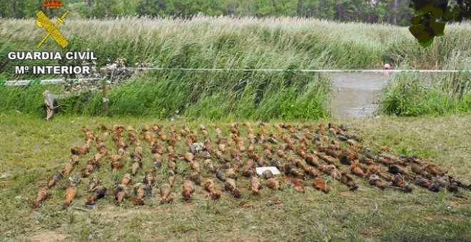 Localizado un importante arsenal de la Guerra Civil en un acuífero de Teruel