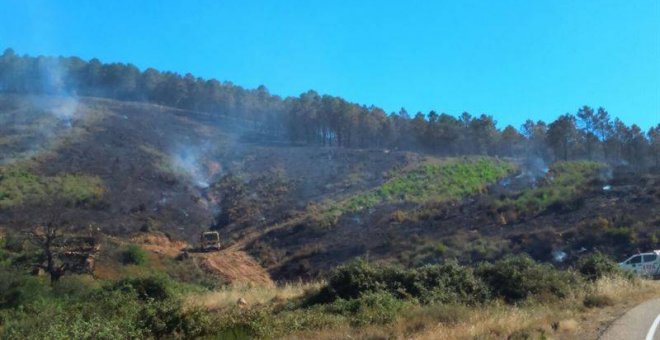 Casi mil condenas de delitos por medio ambiente durante 2016