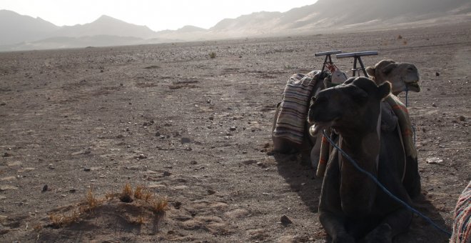 Marruecos expulsa a tres abogados españoles del territorio del Sáhara