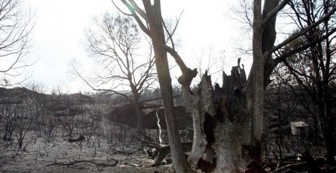 Dimite la ministra de Administración Interna lusa por la gestión de los incendios