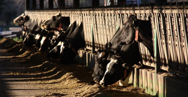 El bloqueig de l'Estat a les partides d'agricultura del Govern reduirà les aportacions de la UE