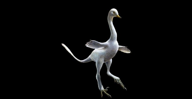 Descubren una nueva especie de dinosaurio parecida al pato