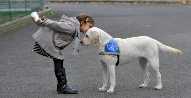 El Congreso debatirá que la empatía hacia los animales sea materia educativa