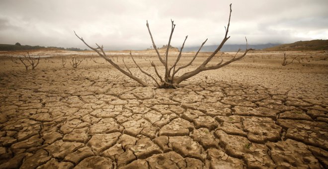 Ciudad del Cabo, el reto de vivir sin agua que pone cara al cambio climático