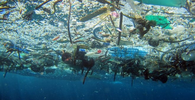 La pérdida de biodiversidad del planeta precipita la extinción humana